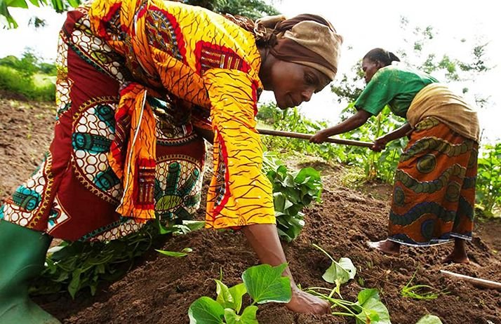 Sécurité alimentaire