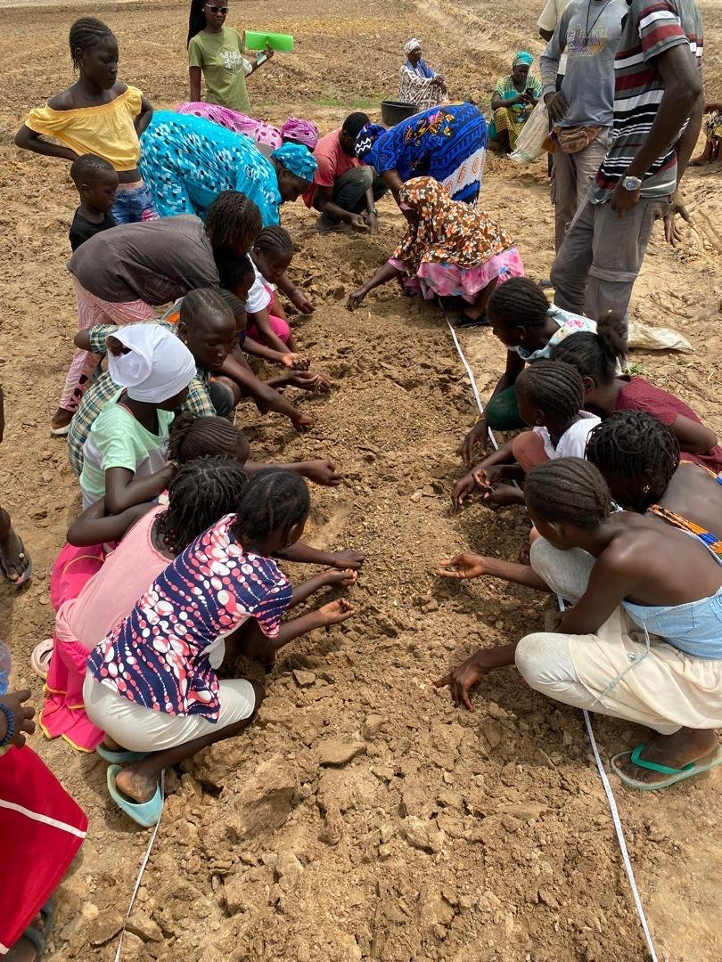 Impacts climatiques au Sénégal